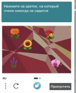 IMG_4378.jpeg