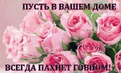 IMG_0329.jpeg