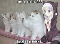1784571650807.png