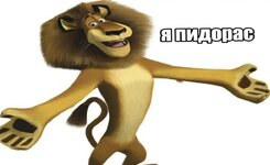 IMG_8716.jpeg