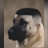 Daniel_Salaru
